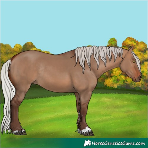 Horse Color:Silver Bay Dun Rabicano 