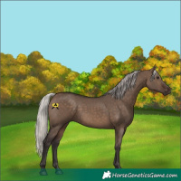 Horse Color:Silver Brown Dun