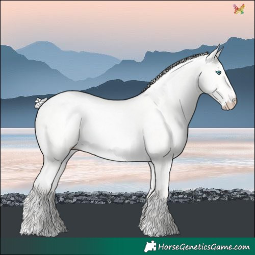 Horse Color:Silver Perlino Dun