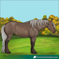 Horse Color:Silver Brown Dun