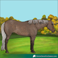 Horse Color:Silver Brown Dun