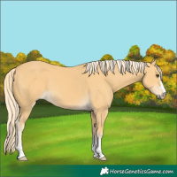 Horse Color:Palomino