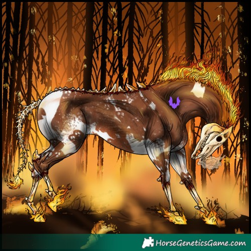 Horse Color:White Spotted Chestnut Tobiano Rabicano 