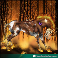 Horse Color:White Spotted Chestnut Tobiano Rabicano 