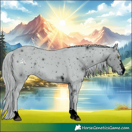 Horse Color:ERROR: UNKNOWN ANOMALY