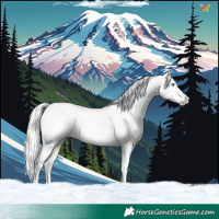 Horse Color:Cremello Dun 