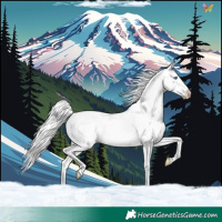 Horse Color:Cremello Dun 
