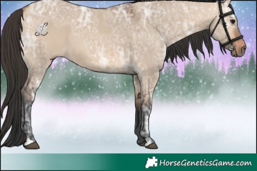 Horse Color:Bay Ice Dun