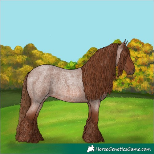 Horse Color:Red Roan 