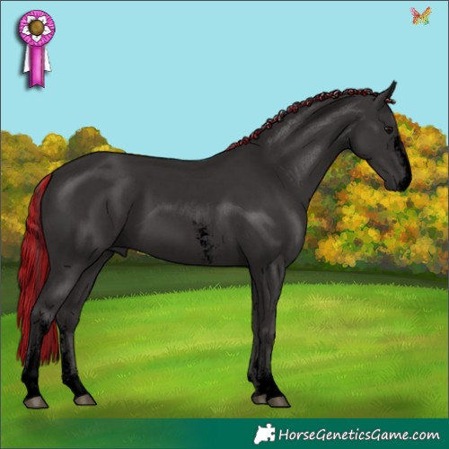 Horse Color:Void Painted Smoky Black Sabino 