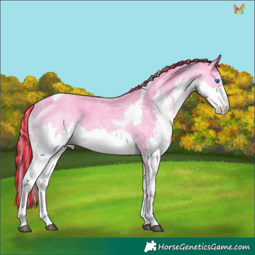 Horse Color:Painted Watercolor Blue Roan Splash Tobiano 