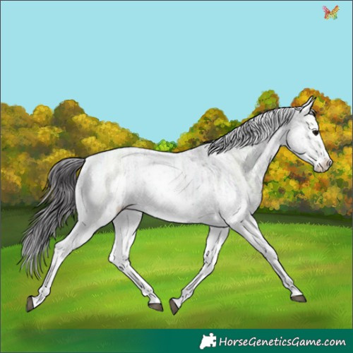Horse Color:Platinum Smoky Black Ice Sabino 