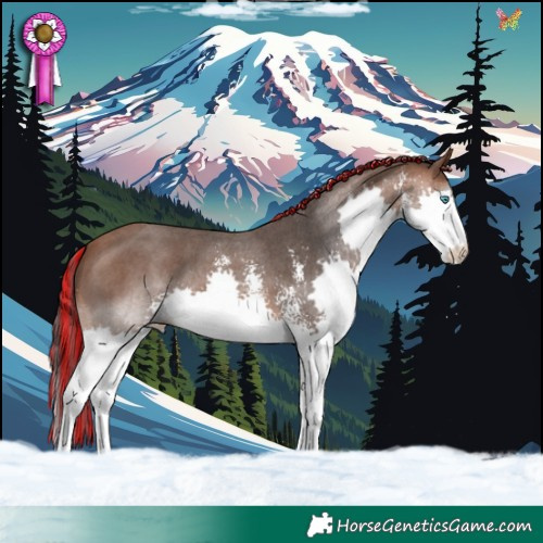 Horse Color:Painted Bay Sabino Splash 