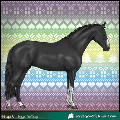 Horse Color:Black Tobiano Frame 