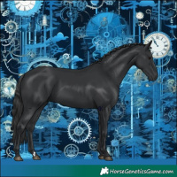 Horse Color:Black 
