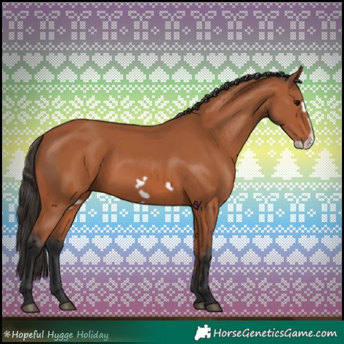 Horse Color:Bay Frame 