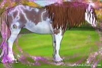 Horse Color:Red Roan Splash 