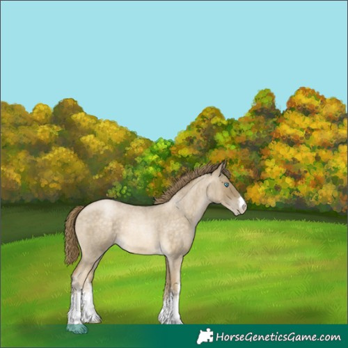 Horse Color:White Spotted Buckskin Roan Pearl 