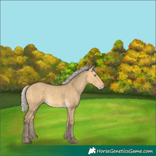 Horse Color:Silver Amber Cream Champagne Dun Rabicano 
