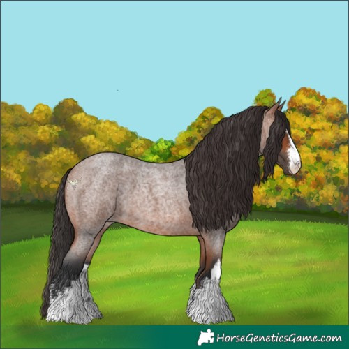 Horse Color:White Spotted Bay Roan 