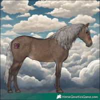 Horse Color:Silver Brown Dun