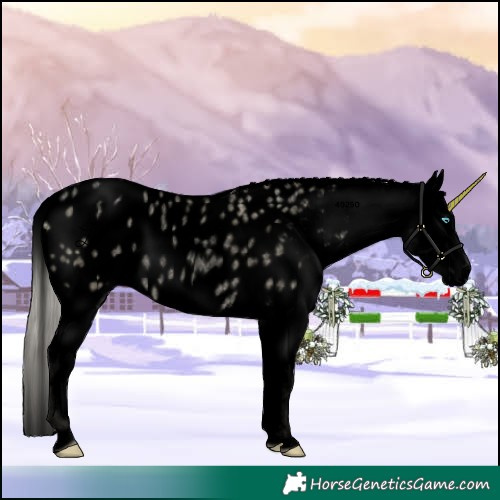 Horse Color:Void White Spotted Palomino Roan Pearl Dun Blanket 