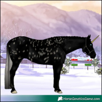 Horse Color:Void White Spotted Palomino Roan Pearl Dun Appaloosa 
