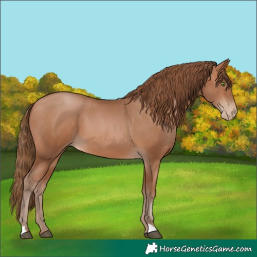 Horse Color:Brown Pearl 
