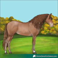 Horse Color:Brown Pearl