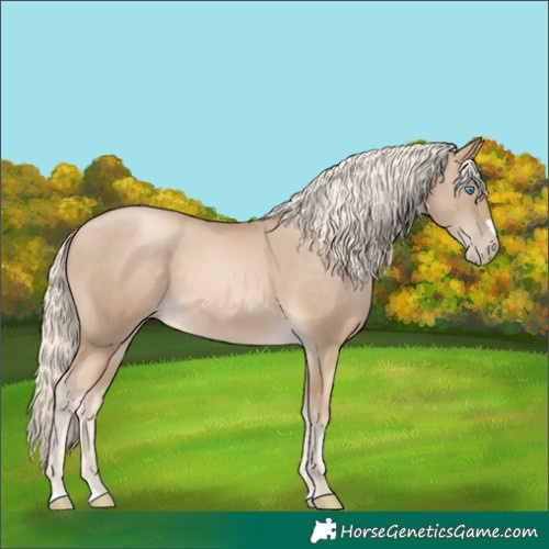 Horse Color:Chocolate Palomino Pearl 