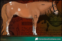 Horse Color:Chestnut Tobiano