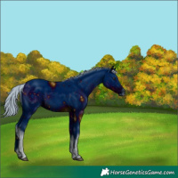 Horse Color:ERROR: UNKNOWN ANOMALY
