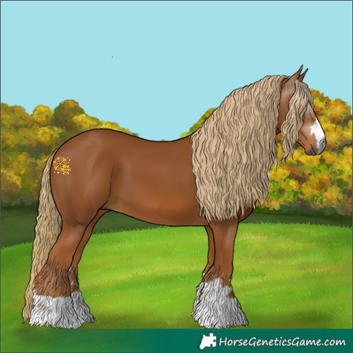 Horse Color:Gray Chestnut 