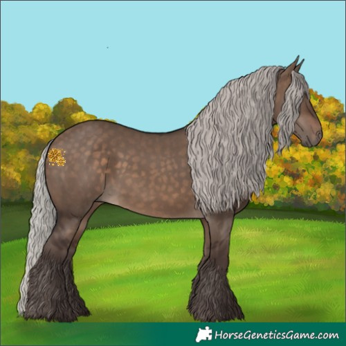 Horse Color:Silver Brown Dun 