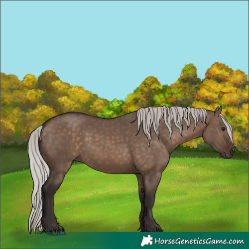 Horse Color:Silver Brown Dun 