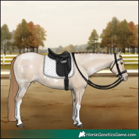 Horse Color:White Spotted Grullo Pearl Rabicano 