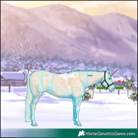 Horse Color:Thunderstruck Watercolor Gold Cream Champagne Ice Tobiano