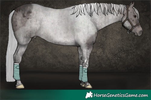 Horse Color:Platinum Silver Brown Dun Tobiano Brindle 
