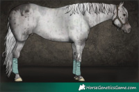 Horse Color:Platinum Silver Brown Dun Tobiano Brindle 