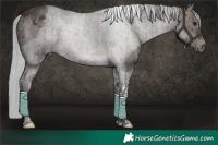 Horse Color:Platinum Silver Brown Dun Tobiano Brindle 