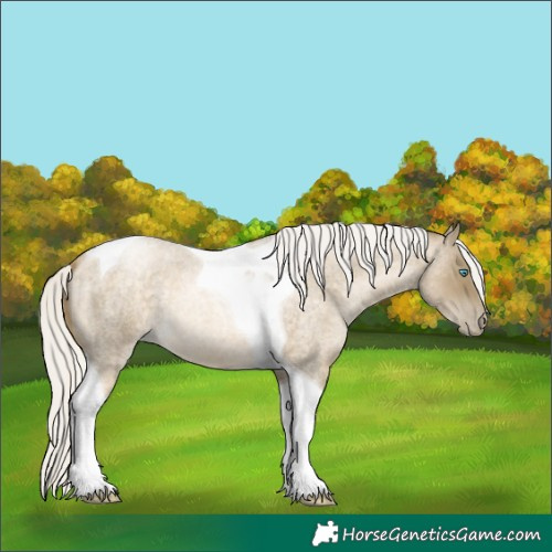 Horse Color:Silver Buckskin Roan Pearl Tobiano 