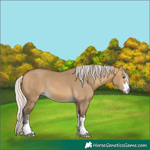 Horse Color:Silver Buckskin Dun 