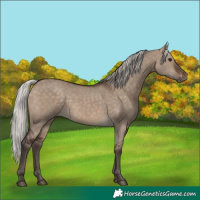 Horse Color:Silver Brown Dun 
