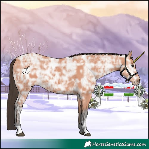 Horse Color:Bay Ice 