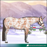 Horse Color:Bay Ice 