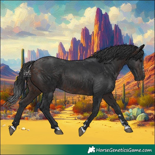 Horse Color:Brown 