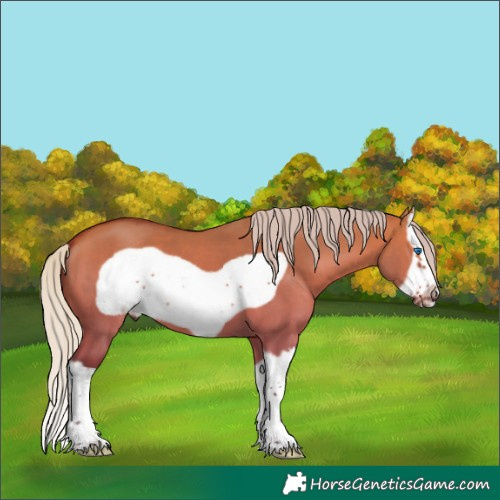 Horse Color:Silver Bay Dun Splash Frame 