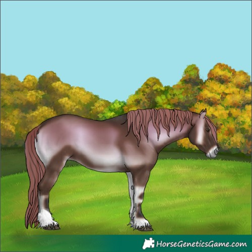 Horse Color:Liver Red Onyx Tobiano 