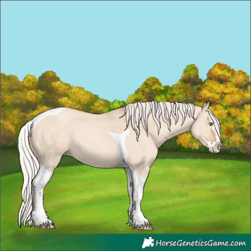 Horse Color:Silver Classic Champagne Dun Splash Tobiano 
