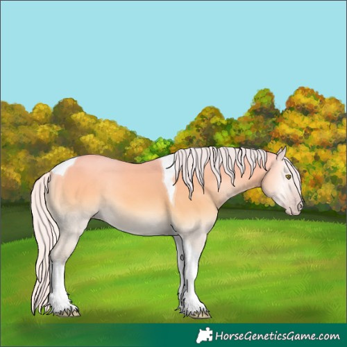 Horse Color:Silver Amber Cream Champagne Onyx Tobiano 